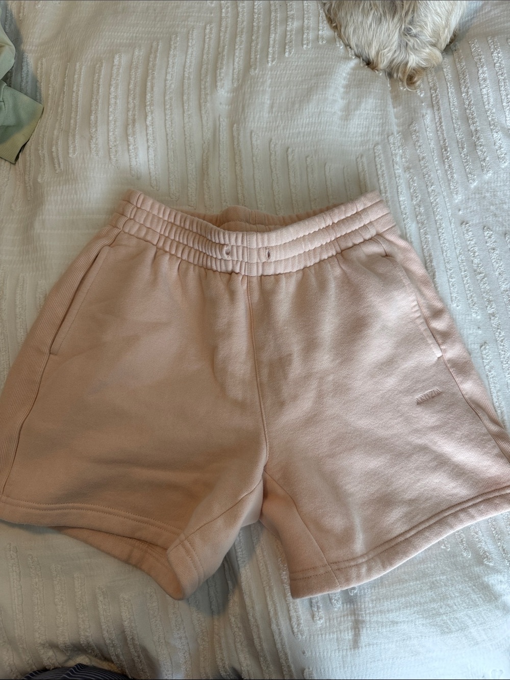 Aritzia Fleece Short Light Pink Sweat Shorts